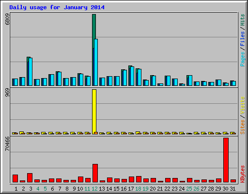 Daily usage for January 2014