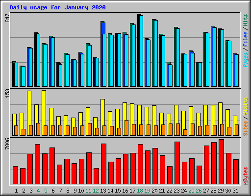 Daily usage for January 2020