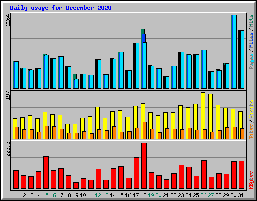 Daily usage for December 2020