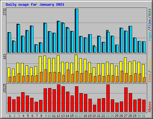 Daily usage for January 2021