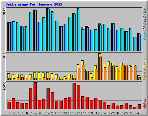 Daily usage for January 2022