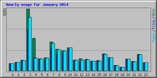 Hourly usage for January 2014