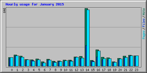 Hourly usage for January 2015