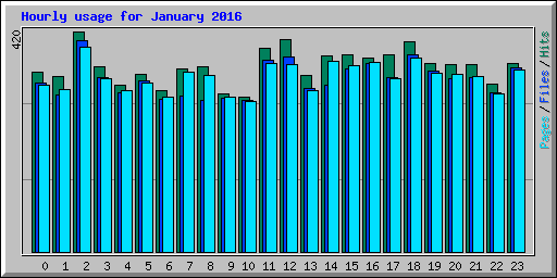 Hourly usage for January 2016