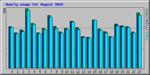 Hourly usage for August 2016