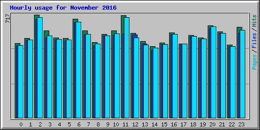 Hourly usage for November 2016