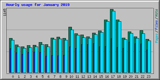 Hourly usage for January 2019