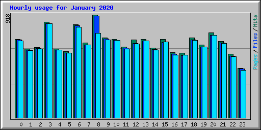 Hourly usage for January 2020