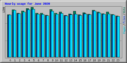 Hourly usage for June 2020