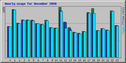 Hourly usage for December 2020