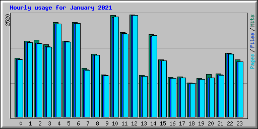 Hourly usage for January 2021