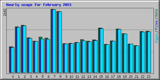 Hourly usage for February 2021