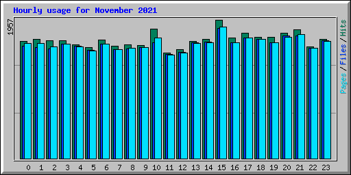 Hourly usage for November 2021