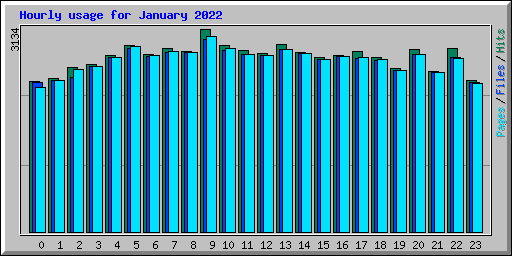 Hourly usage for January 2022