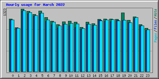 Hourly usage for March 2022