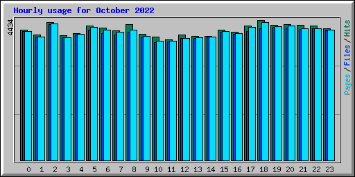 Hourly usage for October 2022