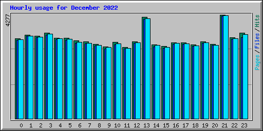 Hourly usage for December 2022