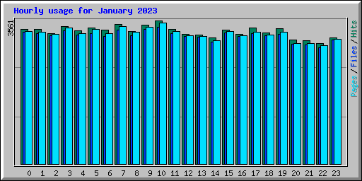 Hourly usage for January 2023