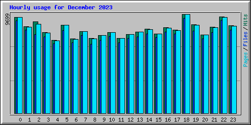 Hourly usage for December 2023