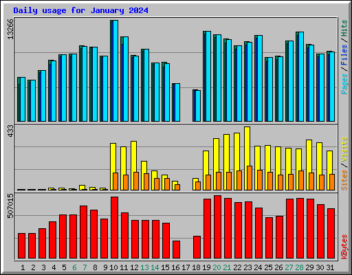 Daily usage for January 2024