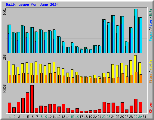 Daily usage for June 2024