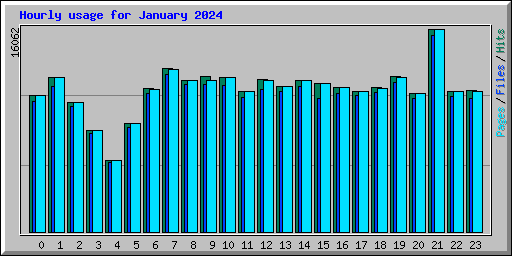 Hourly usage for January 2024