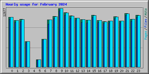 Hourly usage for February 2024