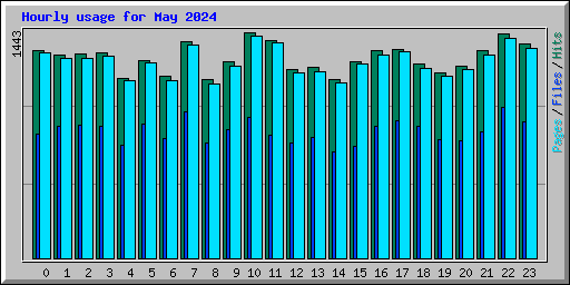 Hourly usage for May 2024