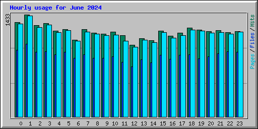 Hourly usage for June 2024