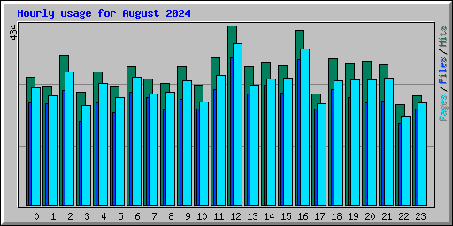 Hourly usage for August 2024