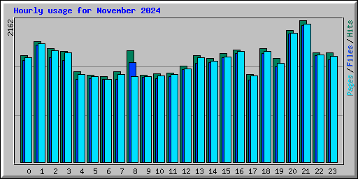 Hourly usage for November 2024