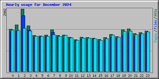 Hourly usage for December 2024